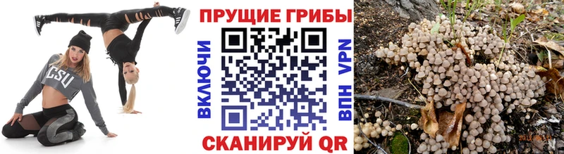 Галлюциногенные грибы MAGIC MUSHROOMS  Феодосия 