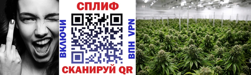 где найти   Феодосия  Каннабис MAZAR 